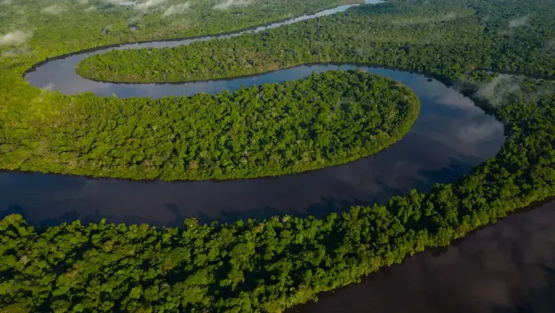 Amazon Rainforest Peru Tour